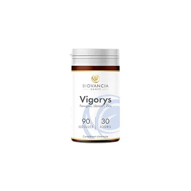 Vigorys