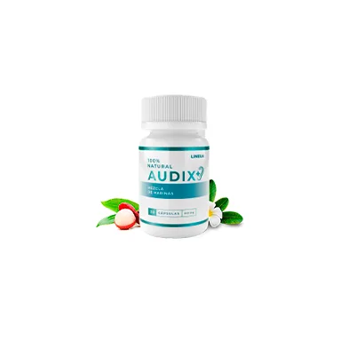 Audix