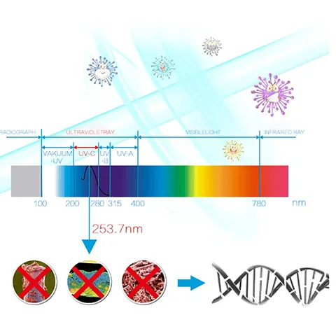 Ultraviolet Toothbrush Sterilizer