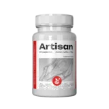 Artisan