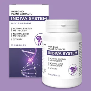 Indiva System
