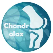 Chondrolax