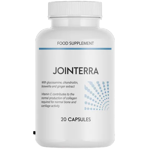 Jointerra